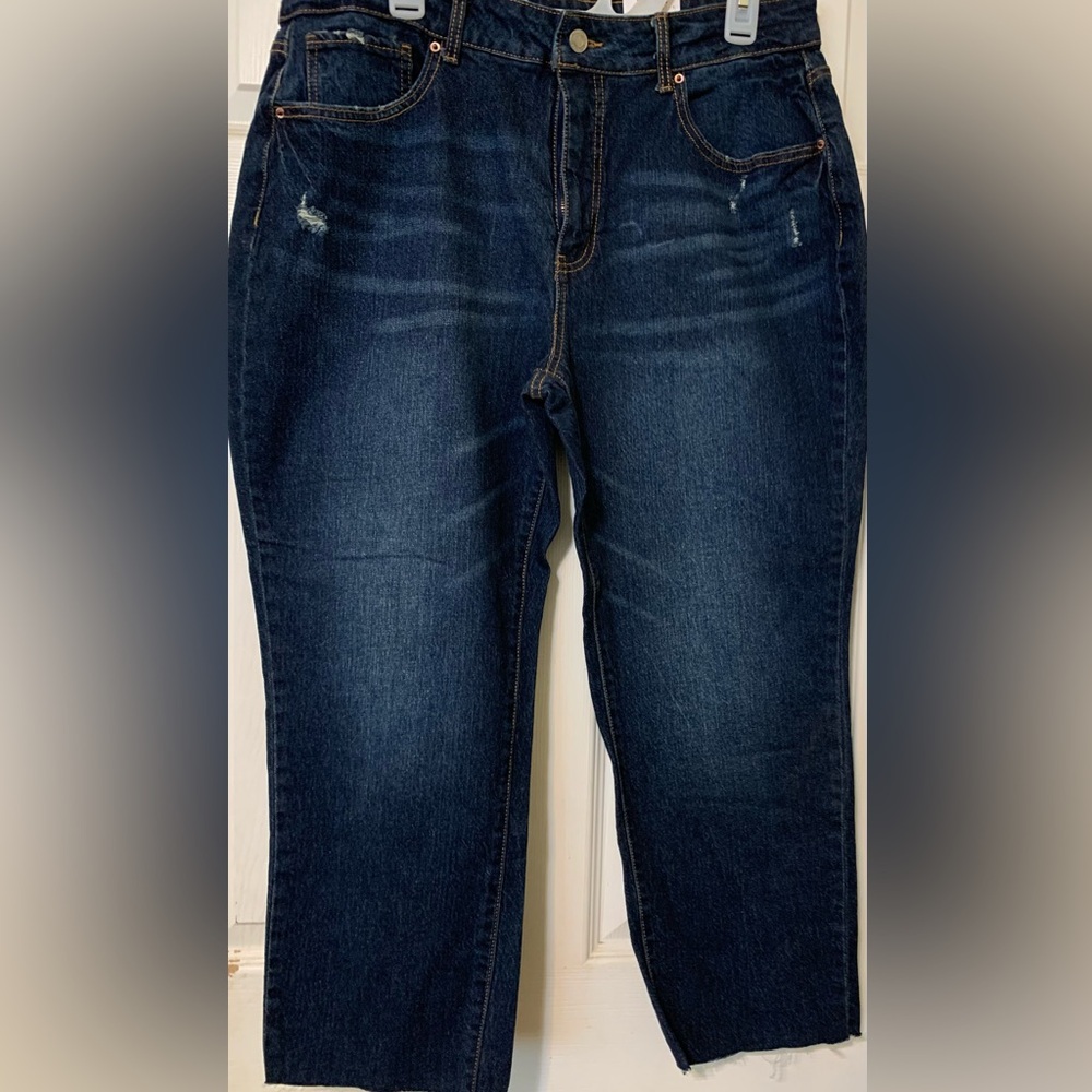 Classic Blue Women's Jeans Size 16 High Rise